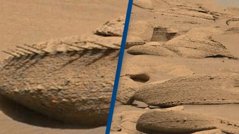 mars'ta ejderha kemiği görünümlü cisim