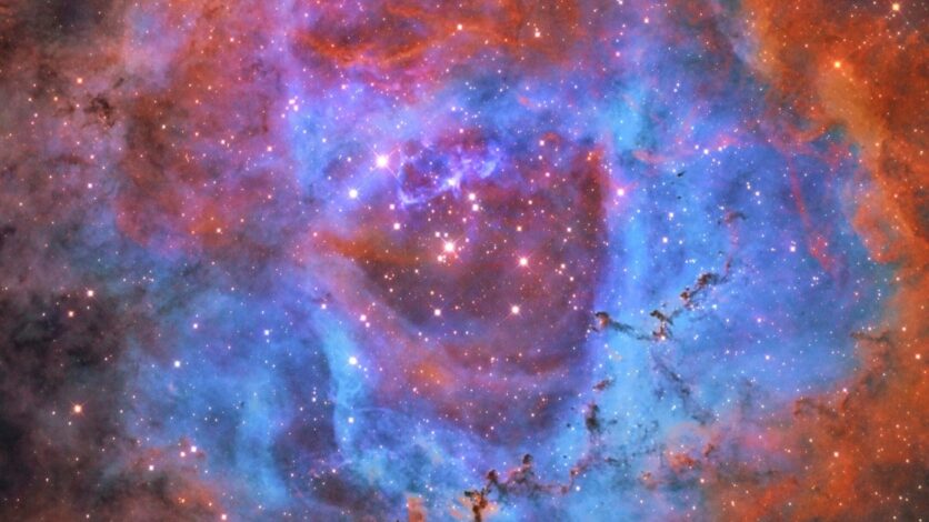 Kırmızı, mor ve mavi yıldızlarla bezeli Rozet Bulutsusu